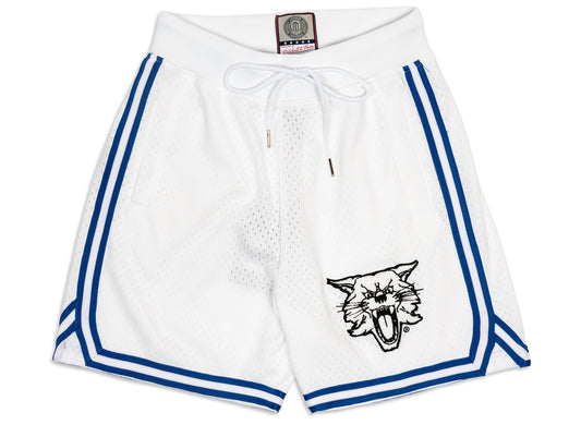 Mitchell & Ness Oneness Kentucky Wildcats Game Day Shorts in Weiß