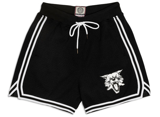 Mitchell & Ness Oneness Kentucky Wildcats Game Day Shorts in Schwarz