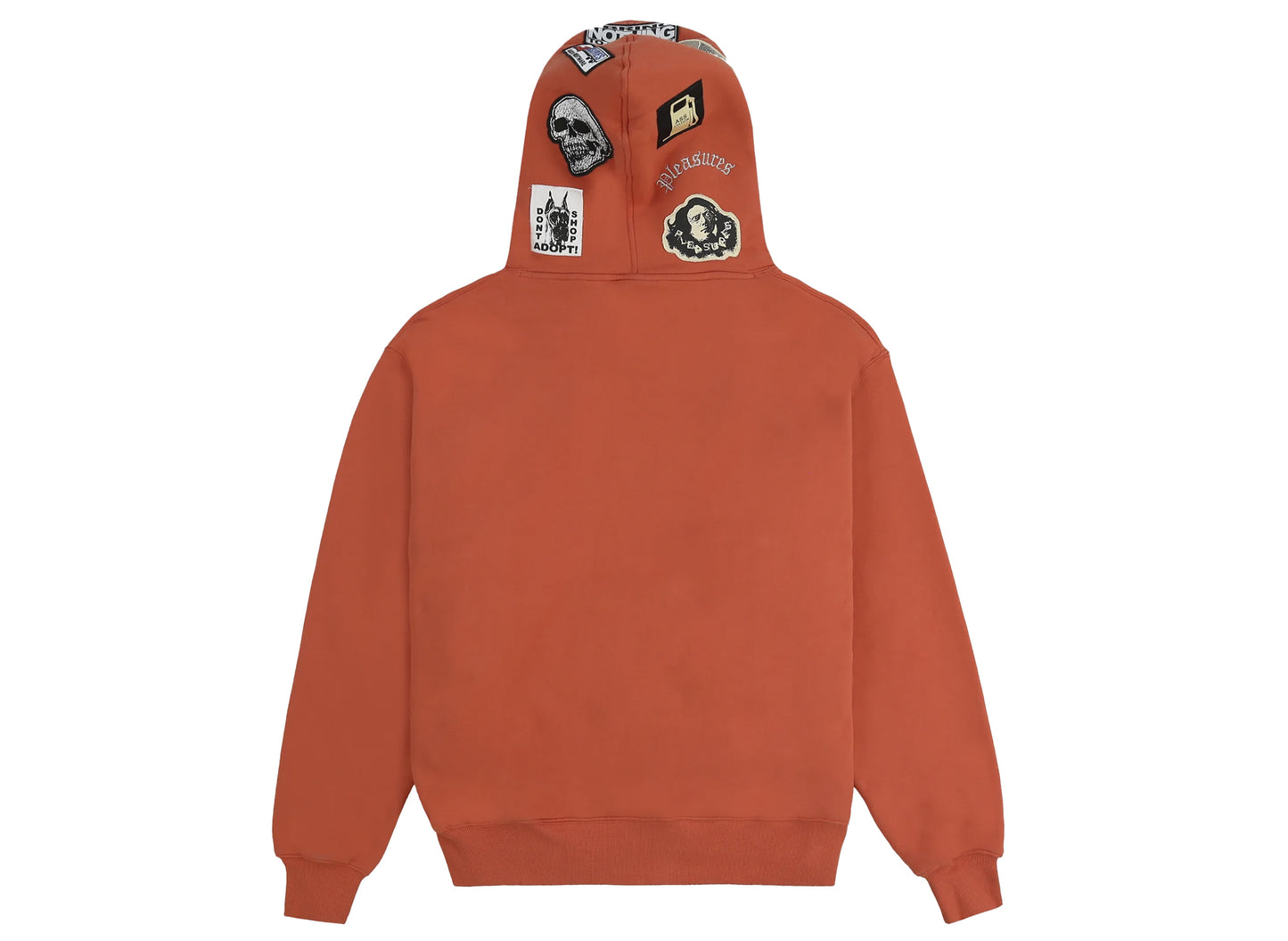 Pleasures Worms Hoodie