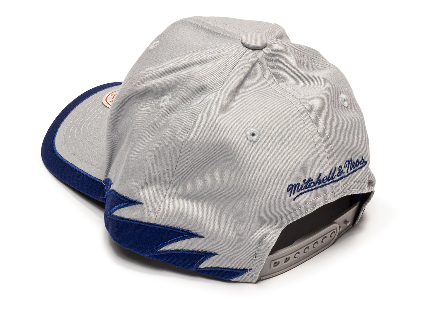 Mitchell & Ness MLB Color Up Pro Snapback Dodgers