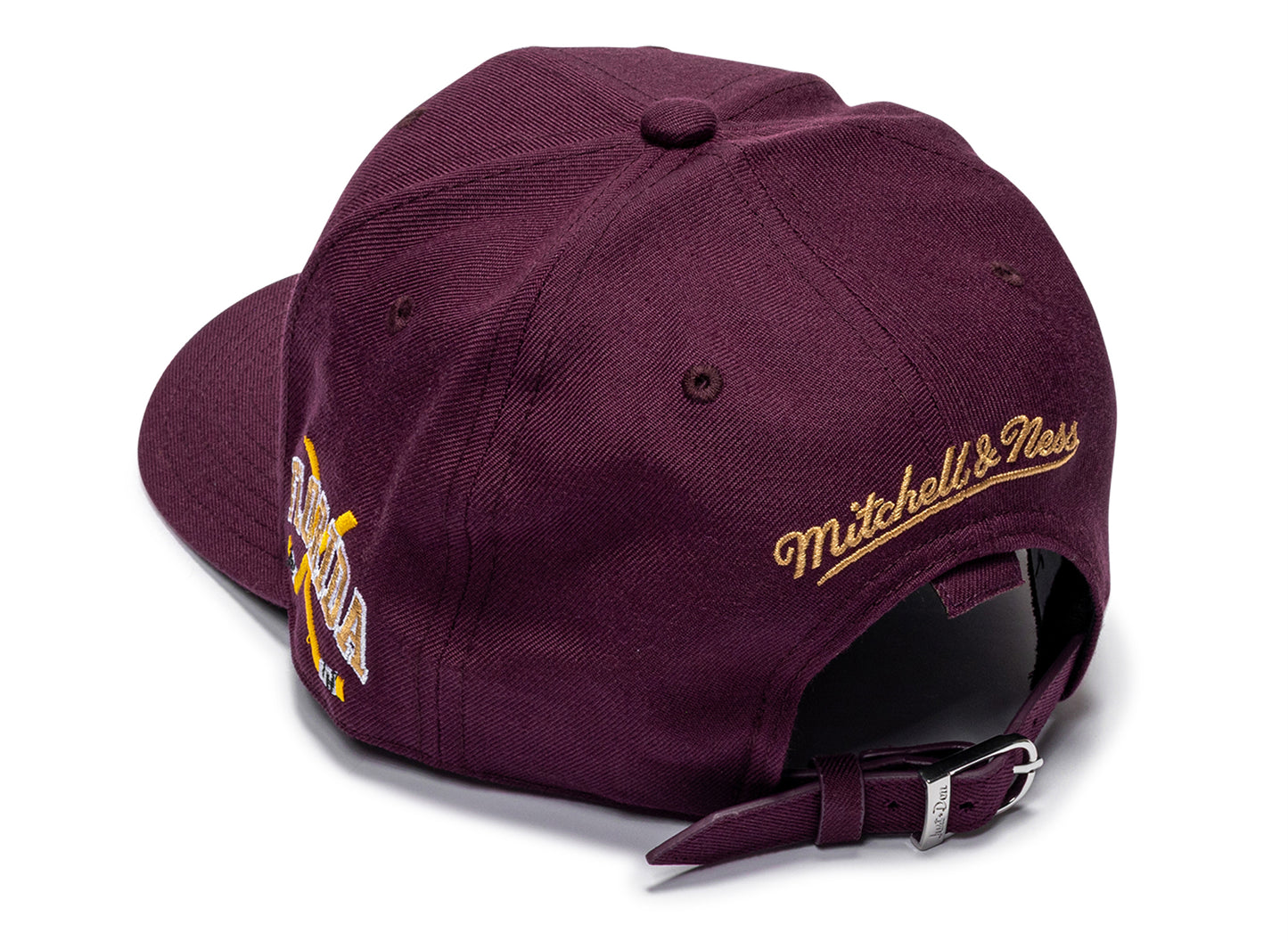 Gorra NHL Just Don Wave Script Pro con tira trasera 'Florida Panthers'