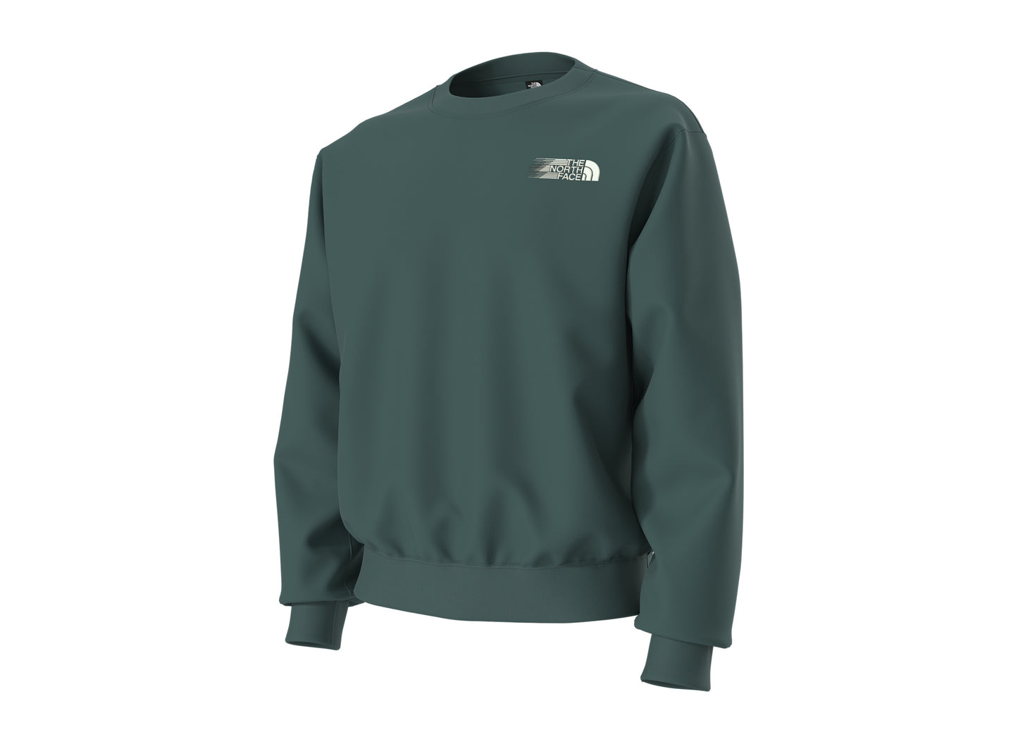 The North Face Retro Trail Relaxed Crew - Graphic in Pacific Teal, front angle