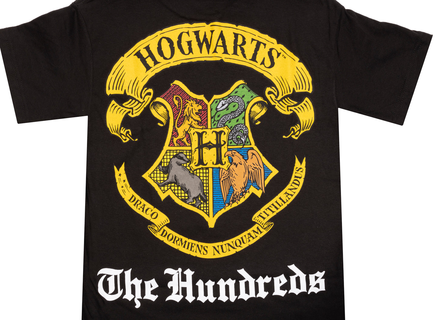 Camiseta The Hundreds x Harry Potter Hogwarts en Negro