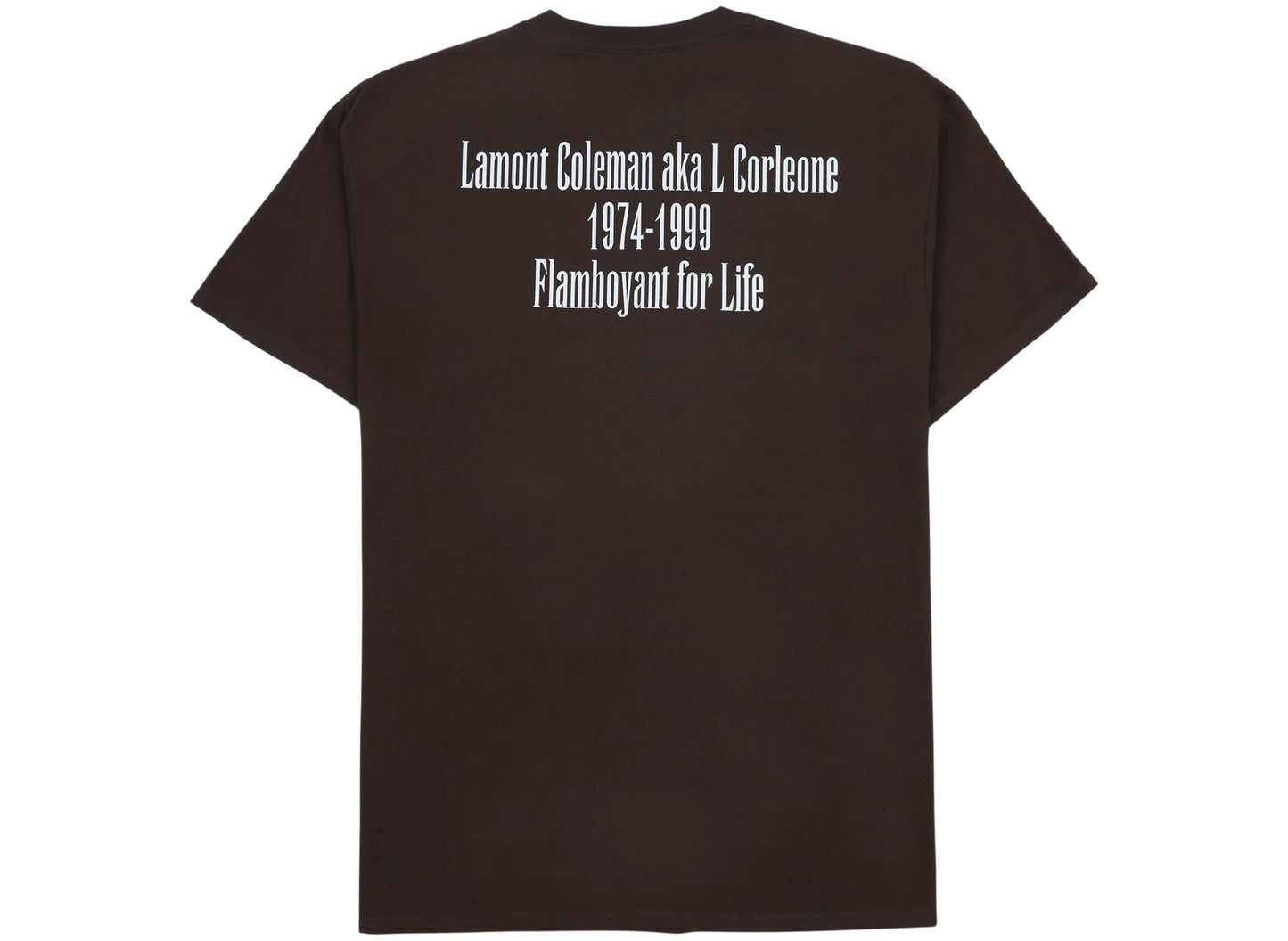 Pleasures In Memory T-Shirt in Braun