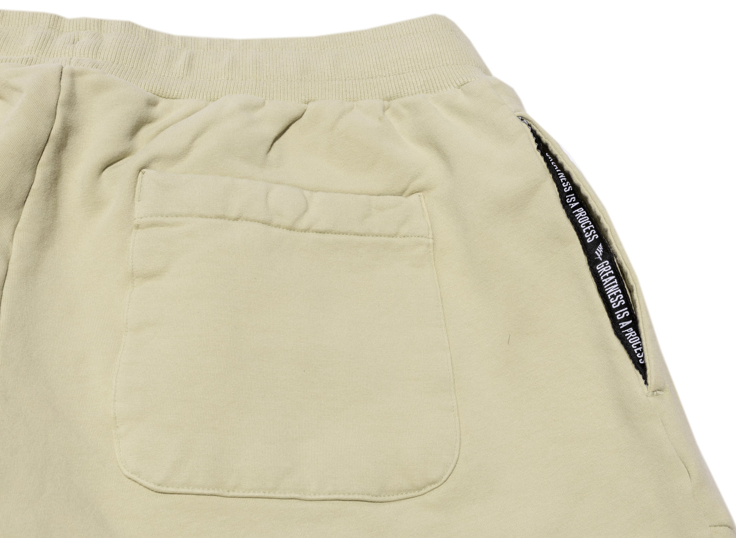Paper Planes Garment Dyed Fleece Jogger in Sage