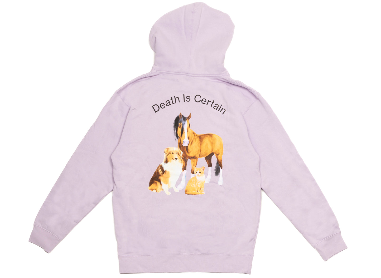 Pleasures Death Hoodie in Lavender - view 2