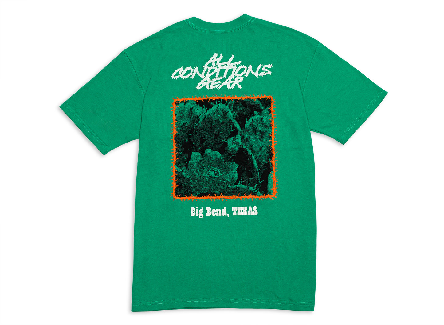 Camiseta Nike ACG OC Cactus