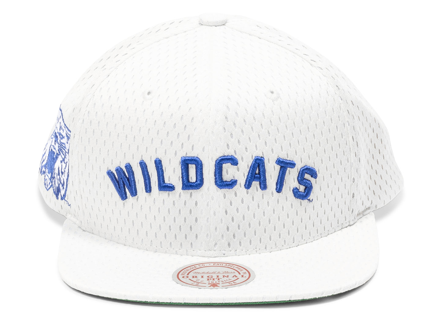 Gorra Mitchell & Ness NCAA Meshed Up