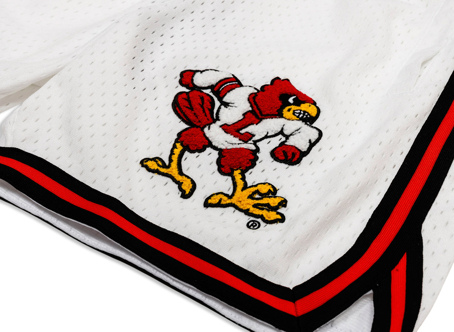 Mitchell & Ness Oneness Louisville Cardinals Game Day Shorts in Weiß