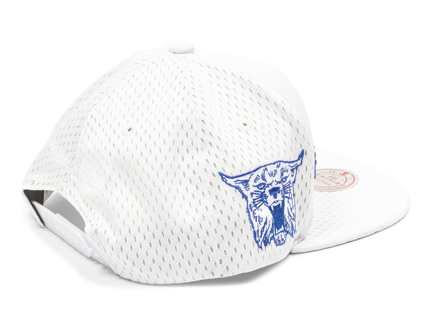 Gorra Mitchell & Ness NCAA Meshed Up