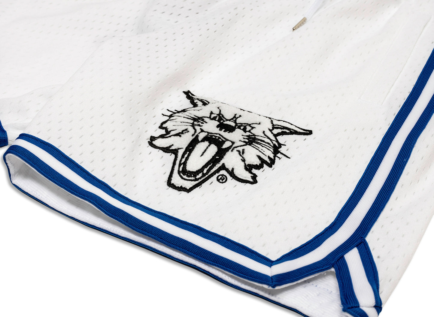 Mitchell & Ness Oneness Kentucky Wildcats Game Day Shorts in Weiß
