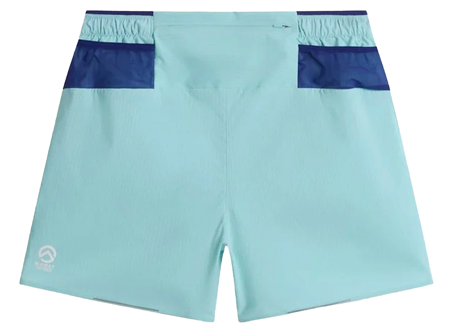 The North Face Summit Pacesetter Expedition Shorts in Canal Blue, men's shorts, view 2