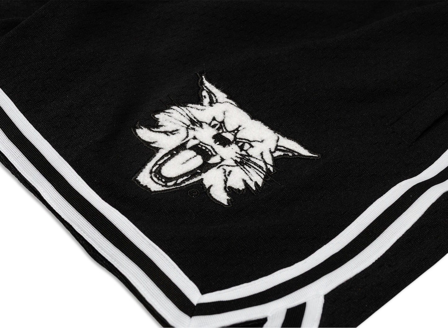 Mitchell & Ness Oneness Kentucky Wildcats Game Day Shorts in Black