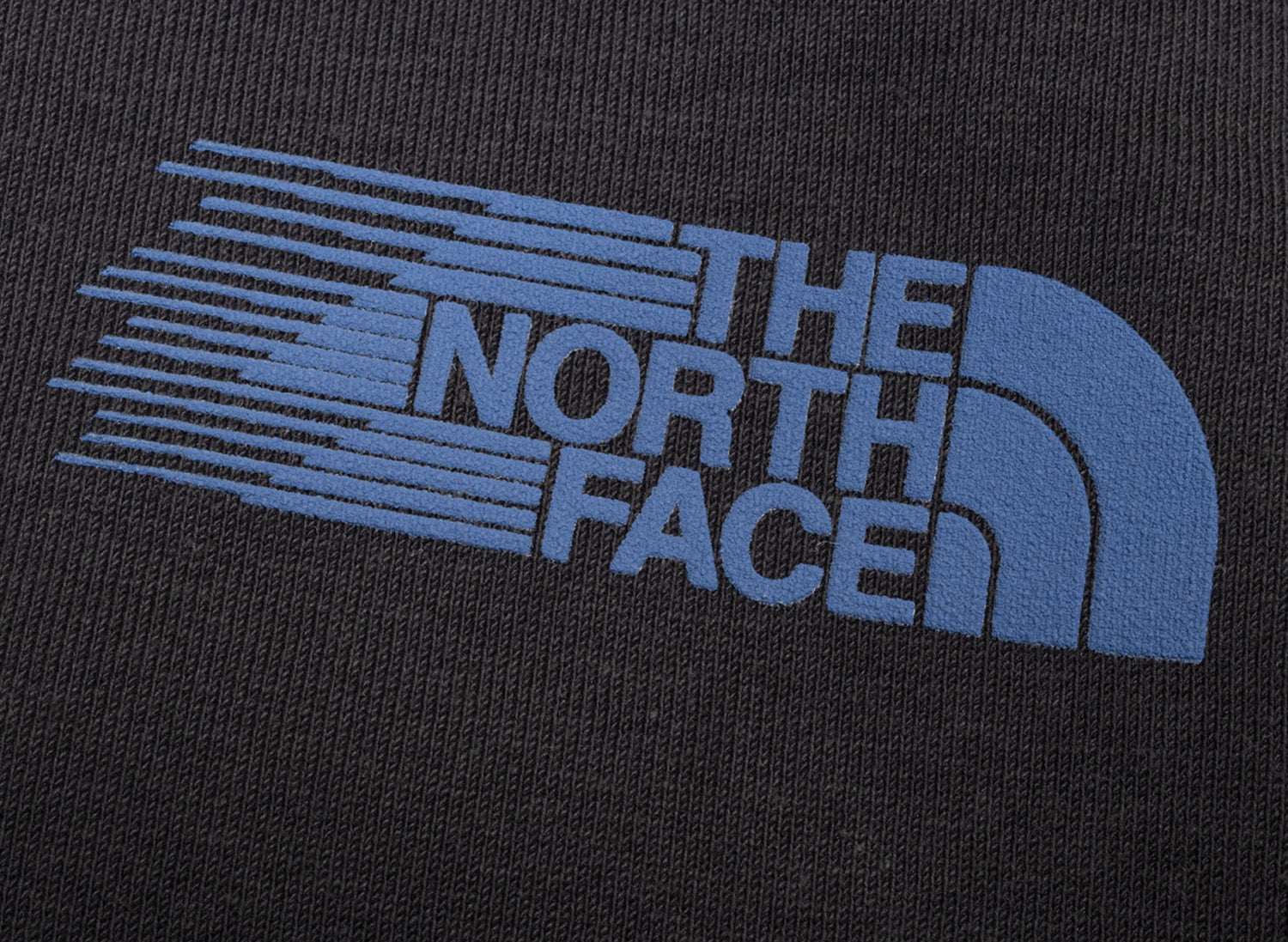 The North Face Retro Trail Relaxed Crew in Anthracite Gray, men's sweatshirt, view 2