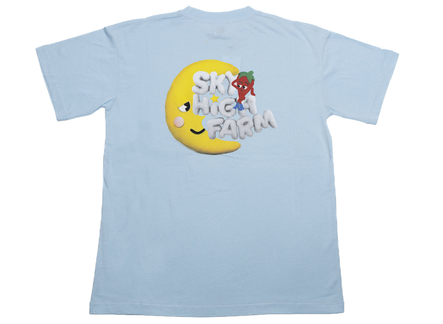 Sky High Farm Perennial Shana Graphic Tee in Blue