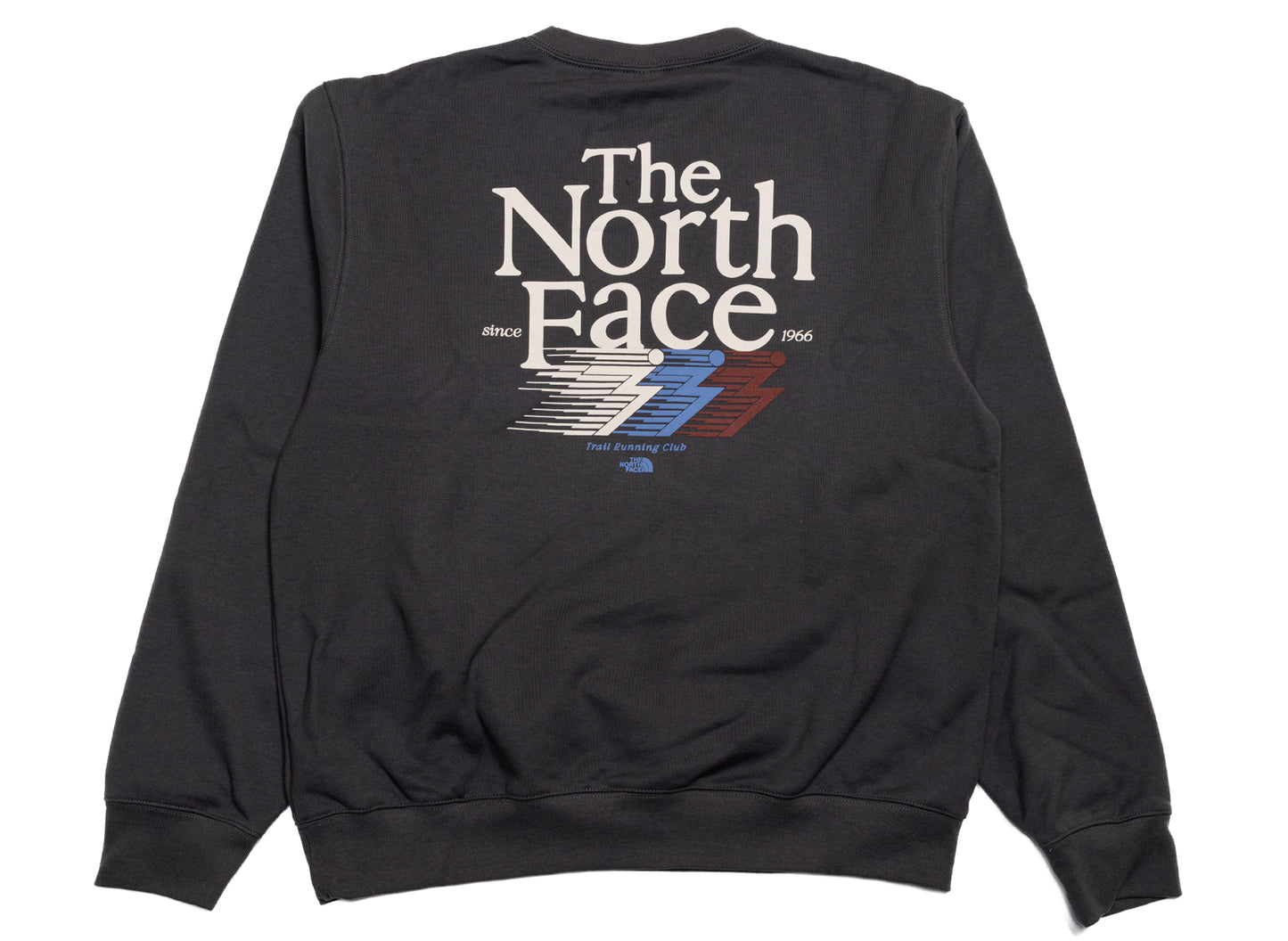The North Face Retro Trail Relaxed Crew in Anthracite Gray, men's sweatshirt, view 3