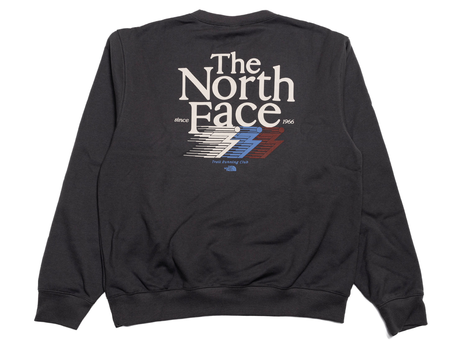The North Face Retro Trail Relaxed Crew in Anthracite Gray, men's sweatshirt, view 3