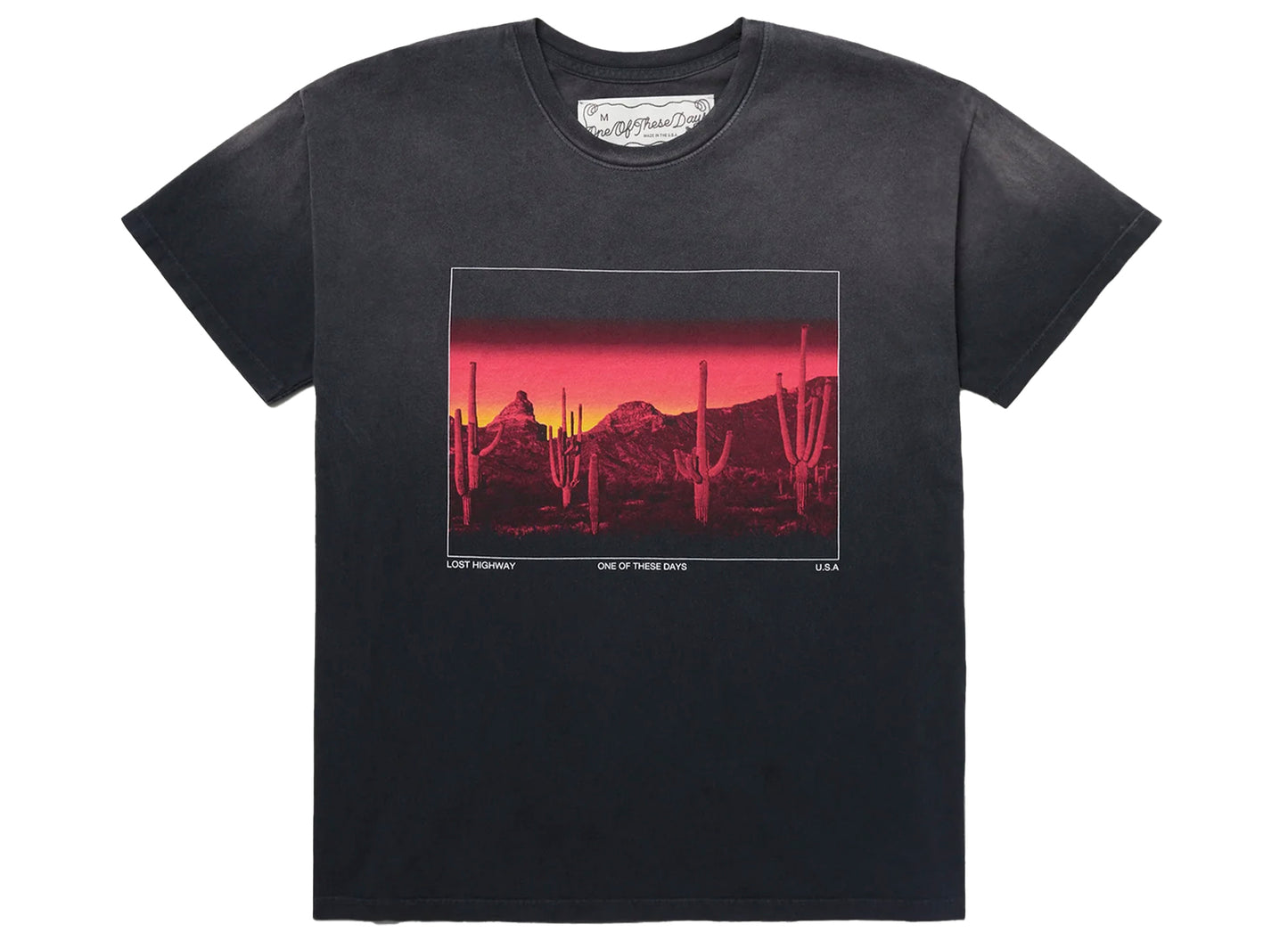Camiseta One of These Days Burning Landscape