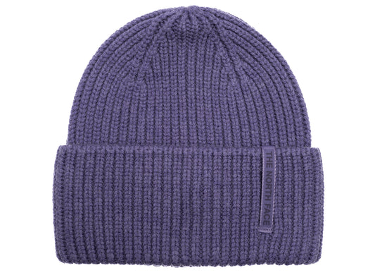 The North Face Wool Blend Beanie in Grounded Plum, unisex knit beanie
