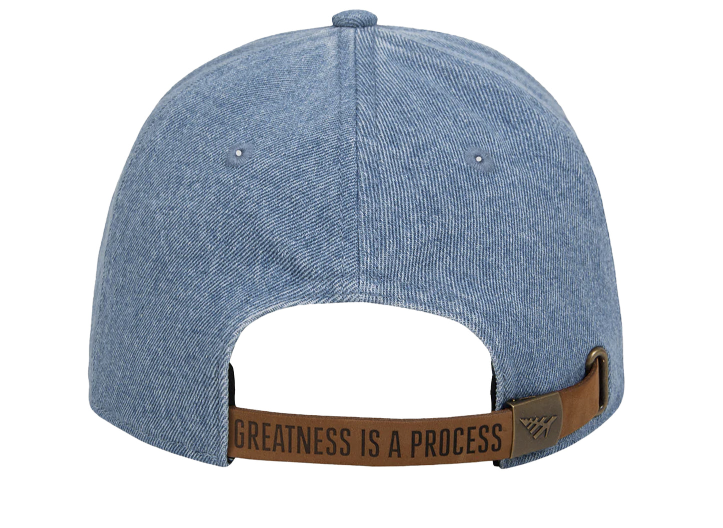 Paper Planes Dad Hat denim