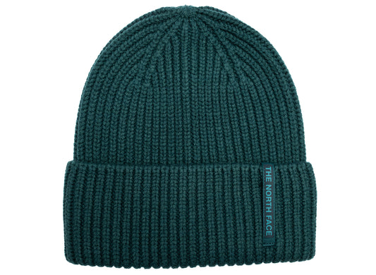 The North Face Wool Blend Beanie in Pacific Teal, unisex knit beanie