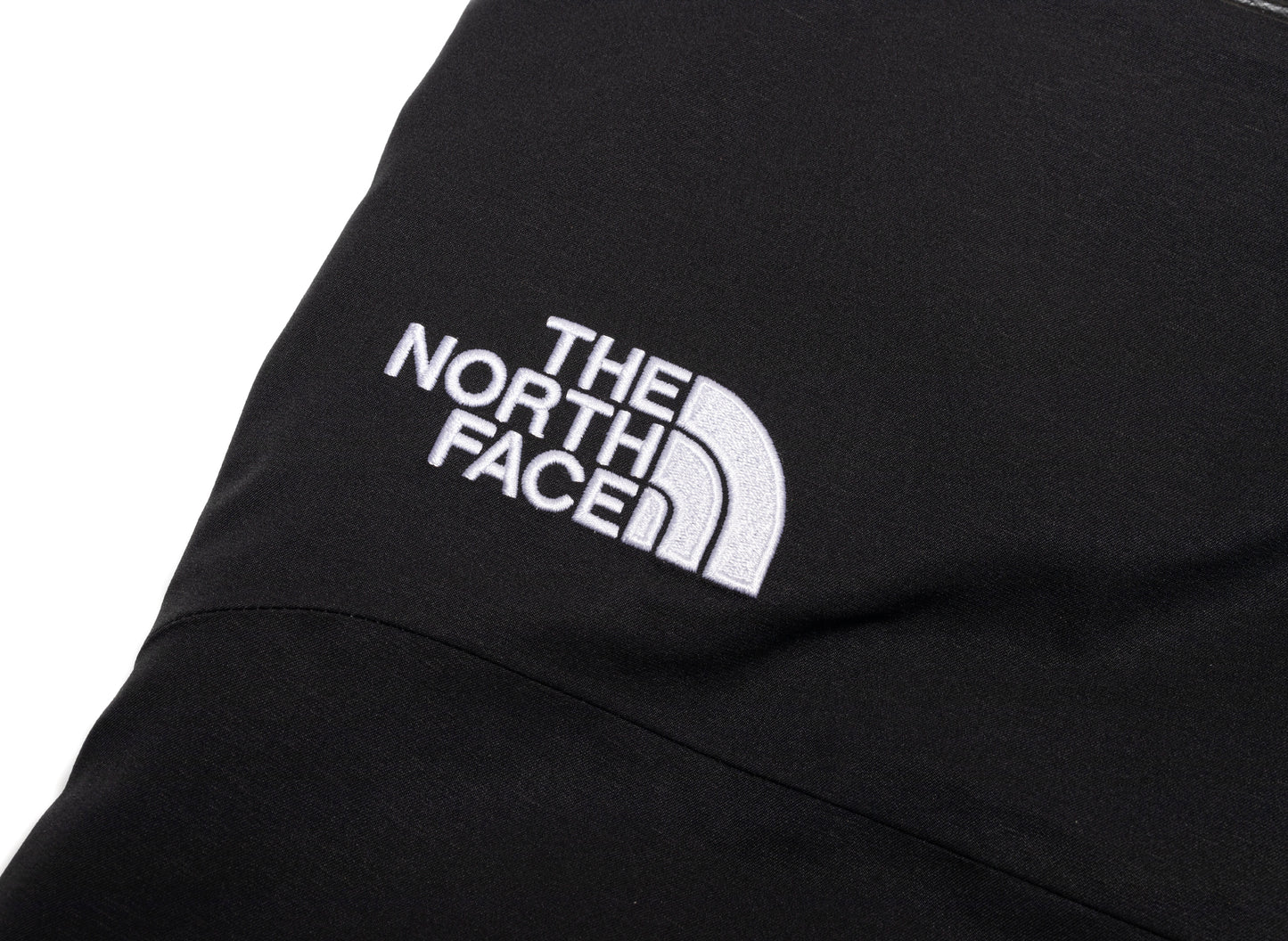 The North Face Chakal Pant in TNF Black, men's black snow pants, view 2