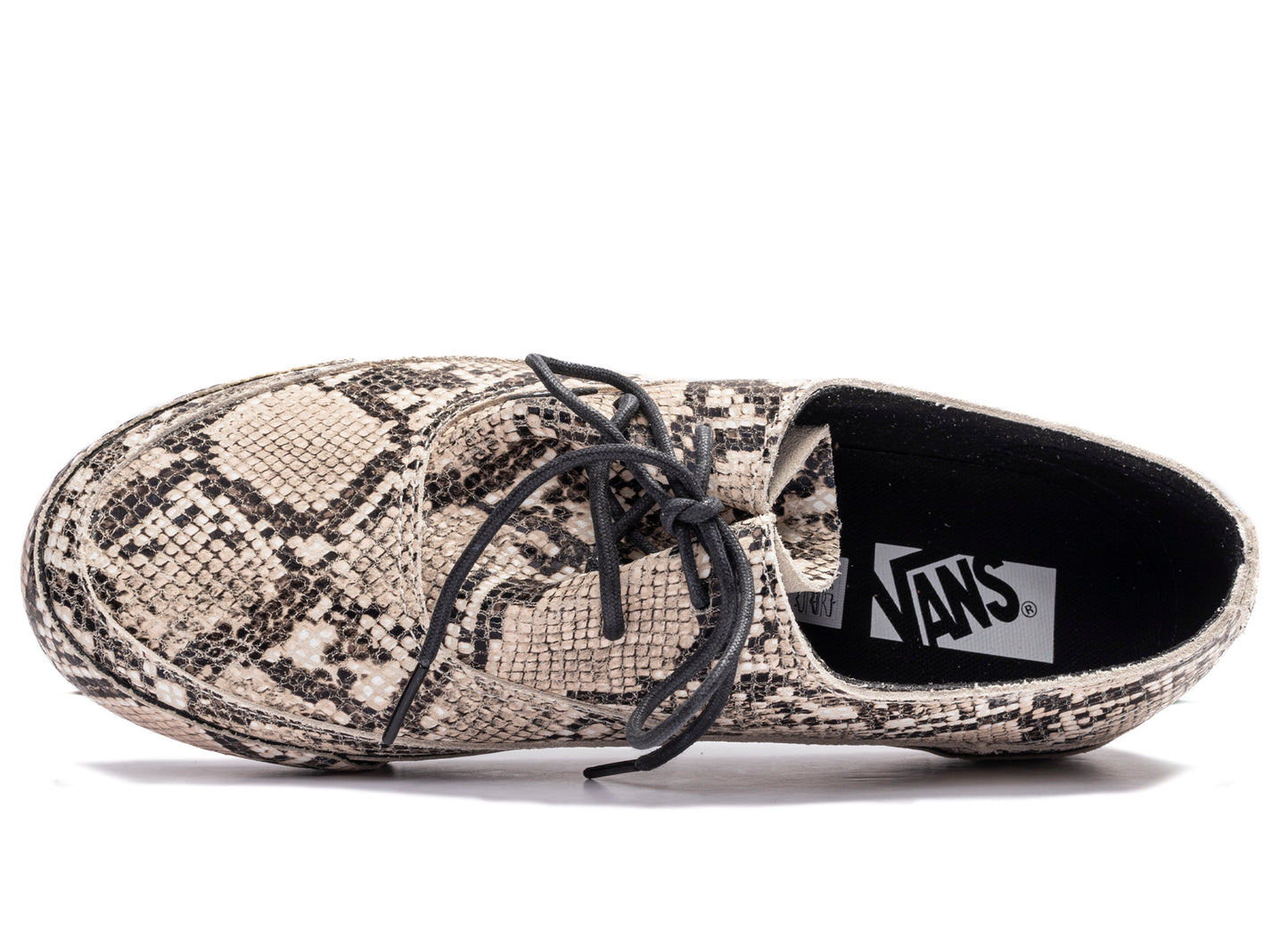 Vans LX Authentic Ease Python in Turtledove