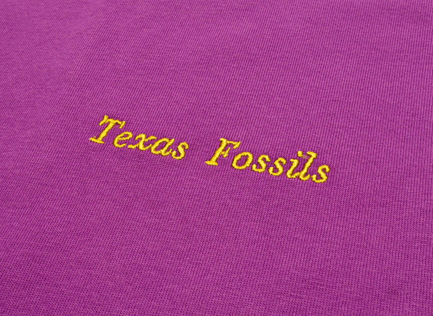 Nike ACG OC Fossils T-Shirt