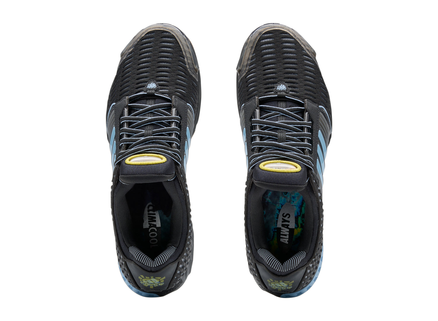Adidas x Always Do What You Should Do Climacool 1 KH7535 — top view