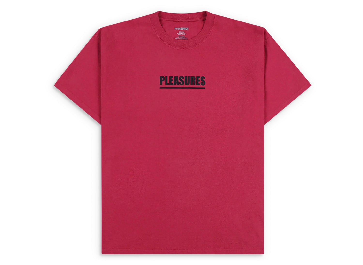Pleasures Scripture T-Shirt in Ruby