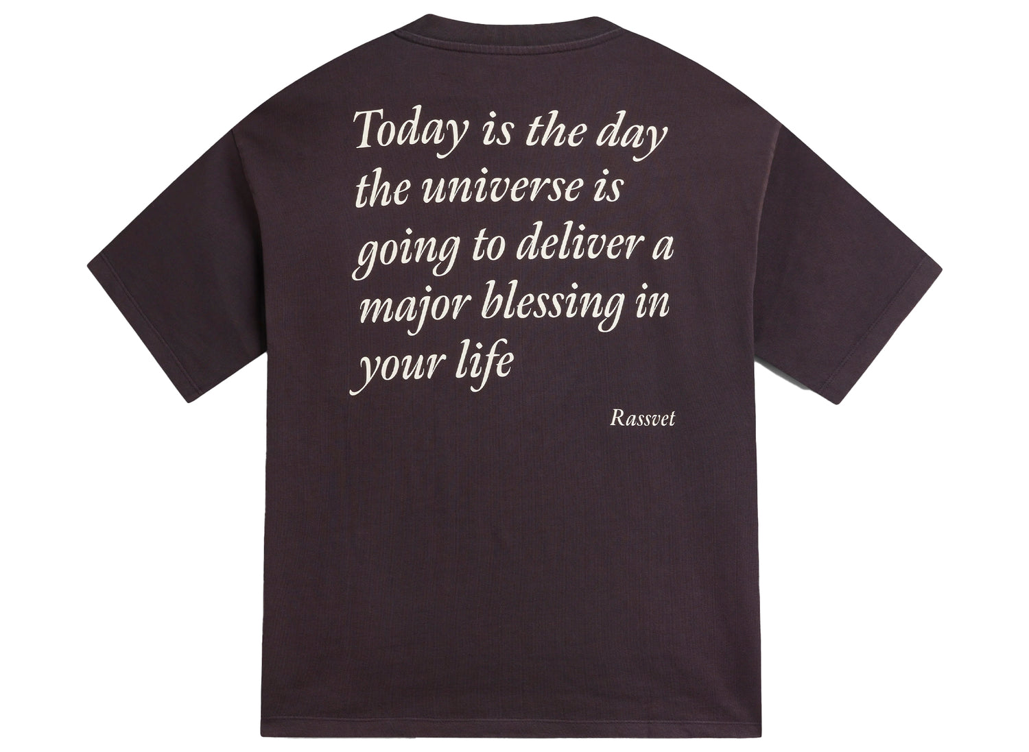 Rassvet PACCBET Blessings Tee in Brown, men's cotton crewneck t-shirt, view 2