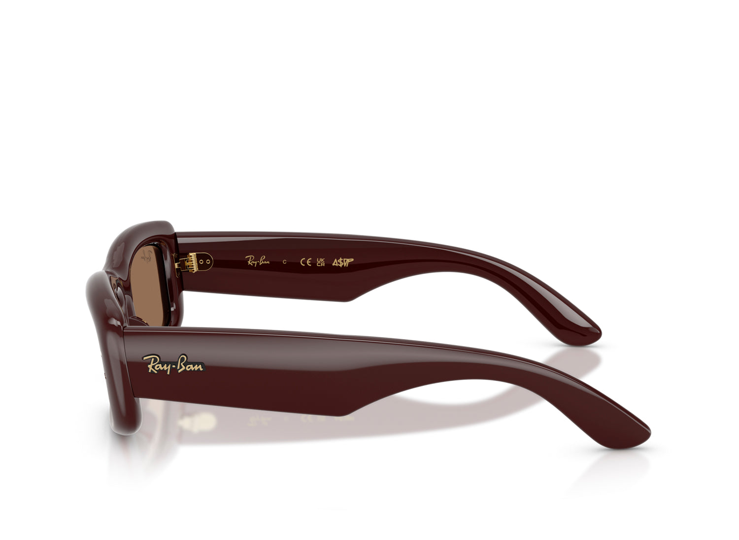 Ray Ban A$AP Rocky Kiliane Puffer Sunglasses in Transparent Dark Brown w/ Dark Brown — view 5