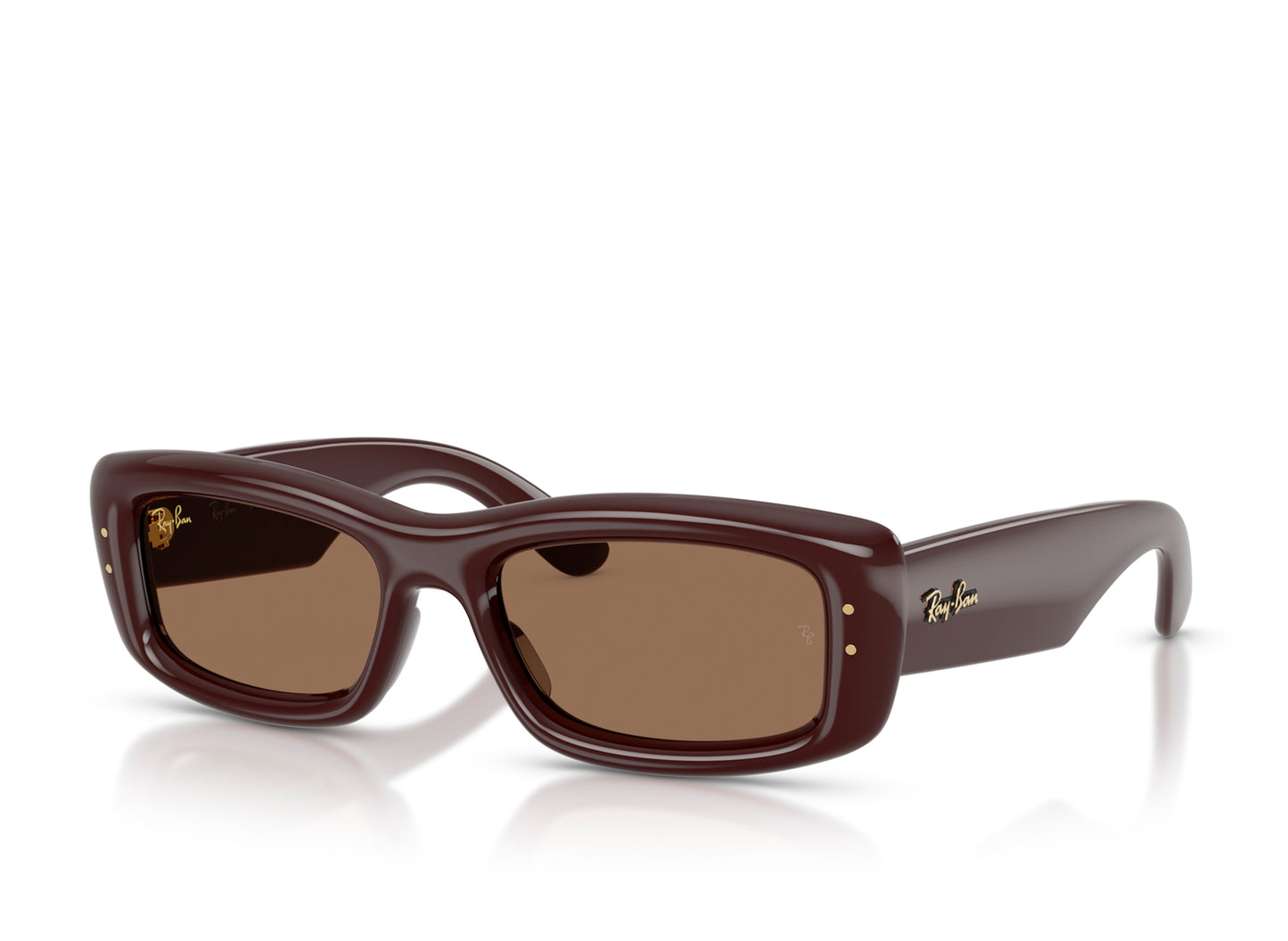 Ray Ban A$AP Rocky Kiliane Puffer Sunglasses in Transparent Dark Brown w/ Dark Brown — view 6
