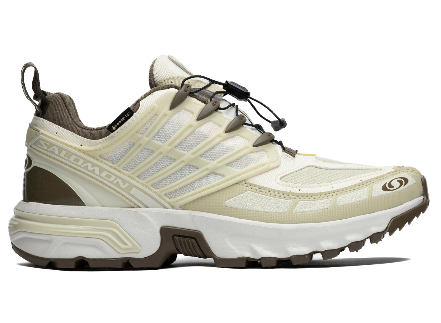 Salomon ACS Pro GTX
