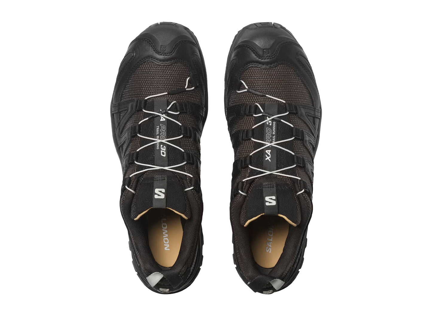 Salomon XA Pro 3D Alpine Echoes in Black