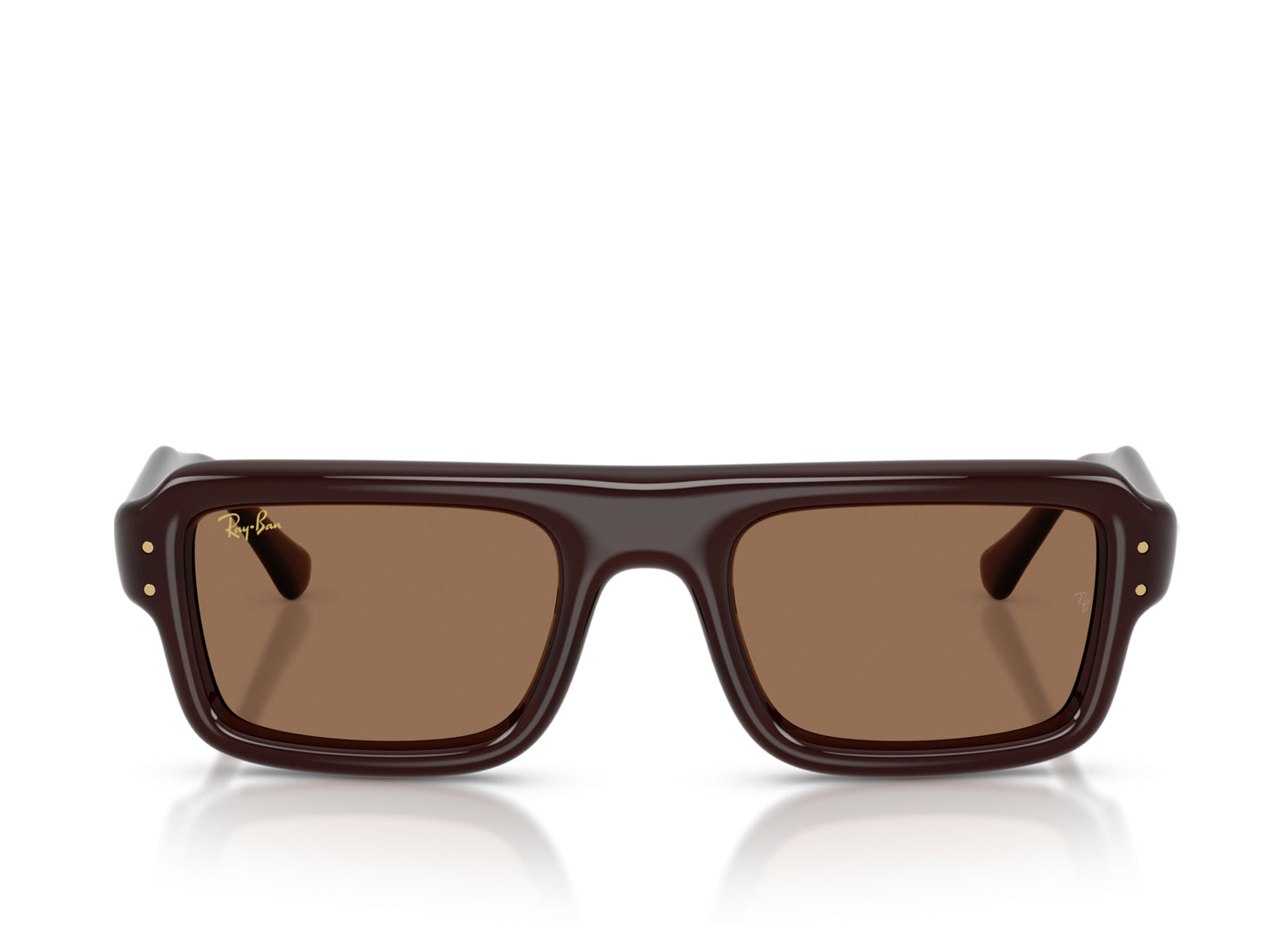 Ray Ban A$AP Rocky Flacko Puffer Sonnenbrille in Transparent Dark Brown mit Dark Brown PA Bio
