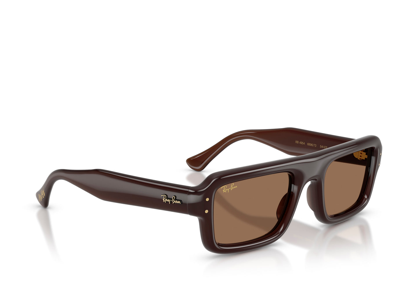 Ray Ban A$AP Rocky Flacko Puffer Sonnenbrille in Transparent Dark Brown mit Dark Brown PA Bio