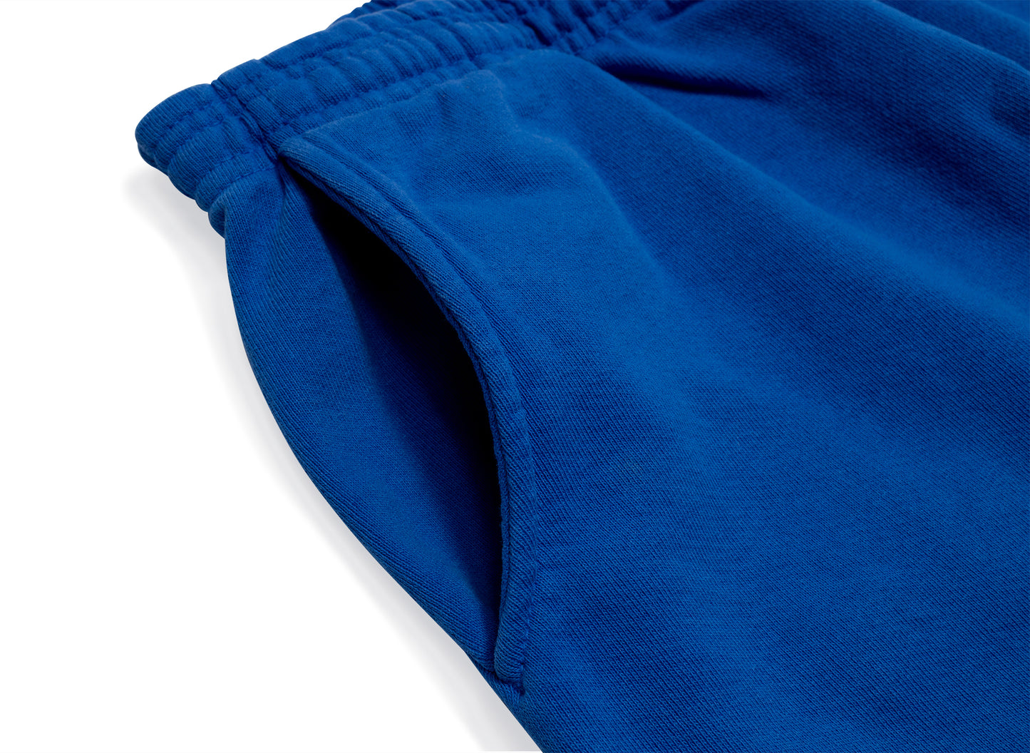 Warren Lotas Bridge of Thorns Sweatpants in Blue
