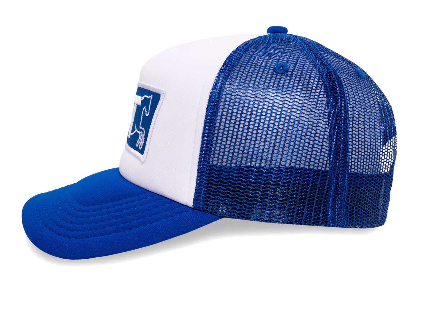 Pleasures Tranquil Trucker Hat in Blue