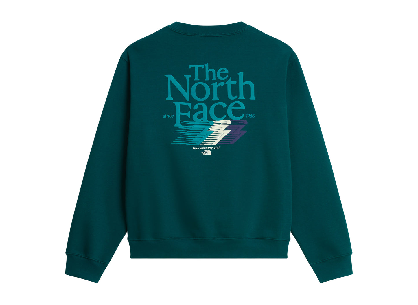 The North Face Retro Trail Relaxed Crew - Graphic in Pacific Teal, back view