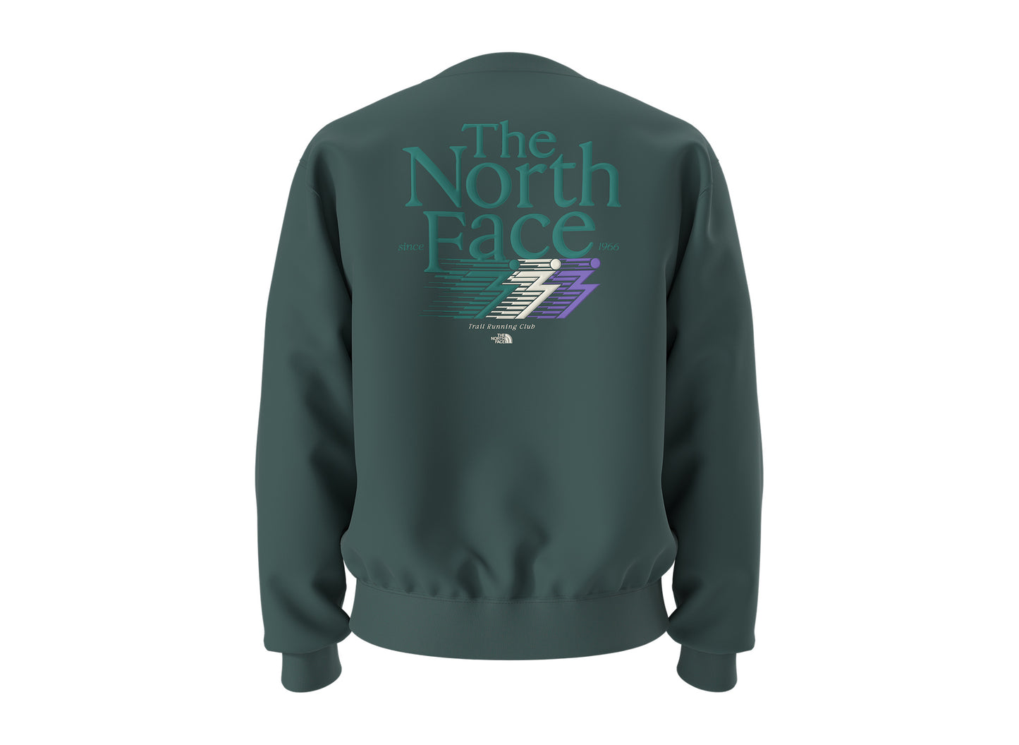 The North Face Retro Trail Relaxed Crew - Graphic in Pacific Teal, back product view