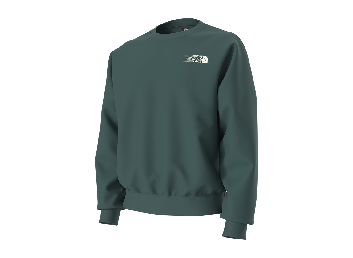 The North Face Retro Trail Relaxed Crew - Graphic in Pacific Teal, front angle