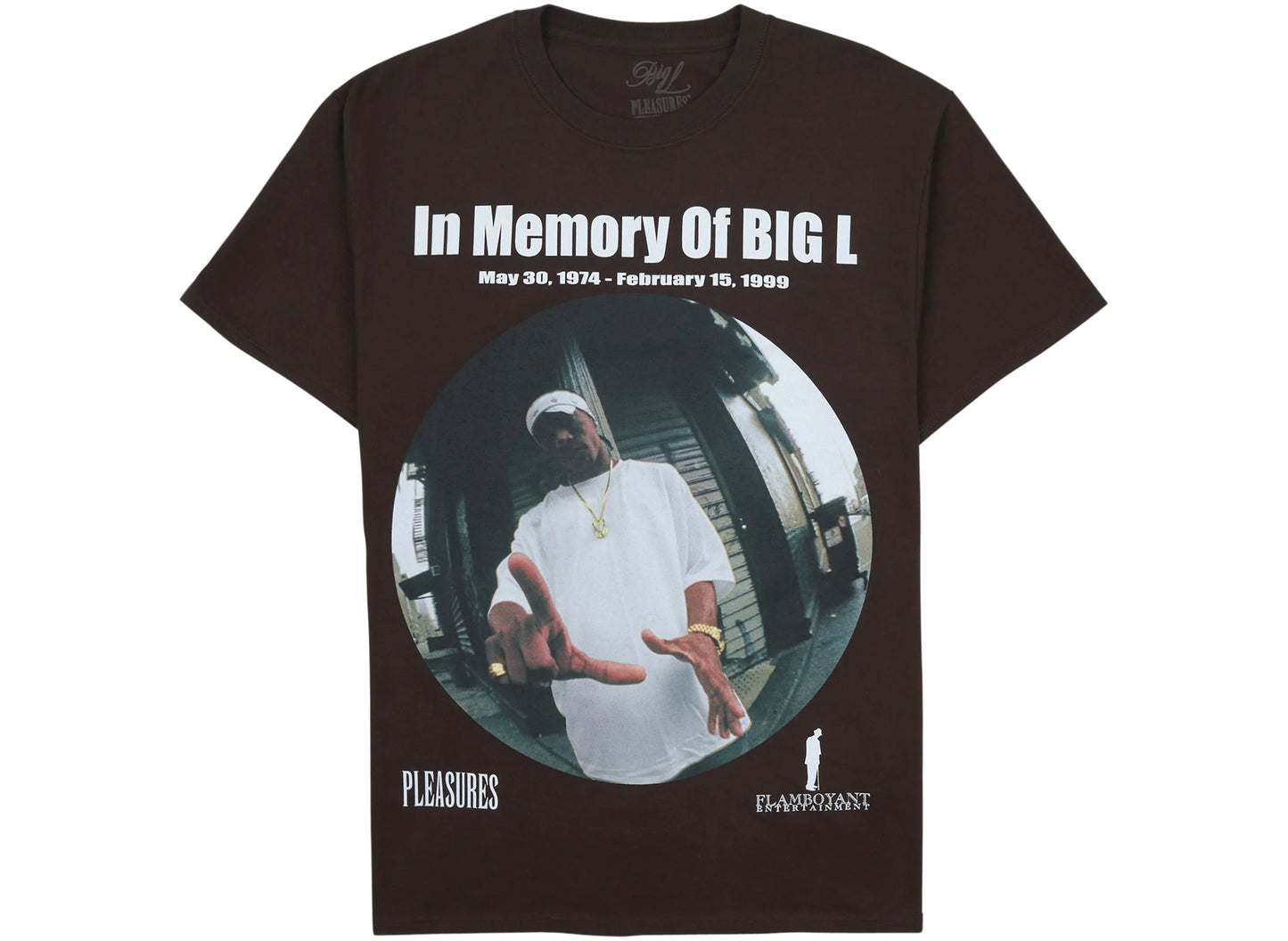 Pleasures In Memory T-Shirt in Braun