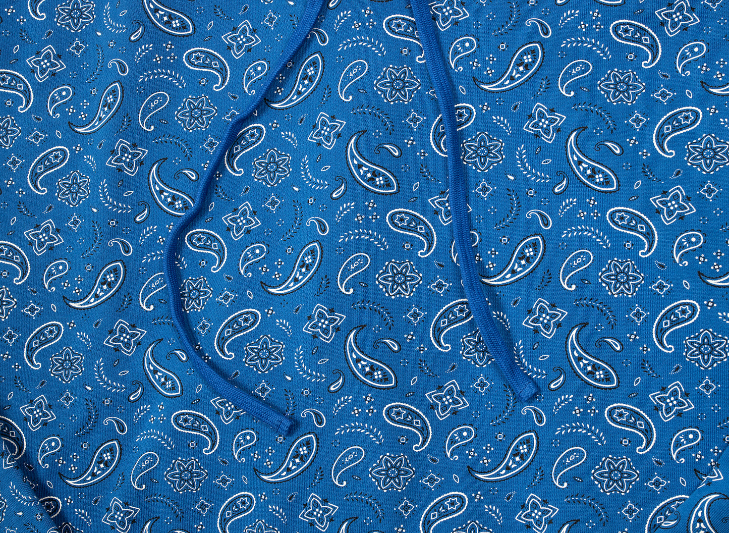 Sudadera con capucha Oneness Sawyer en azul