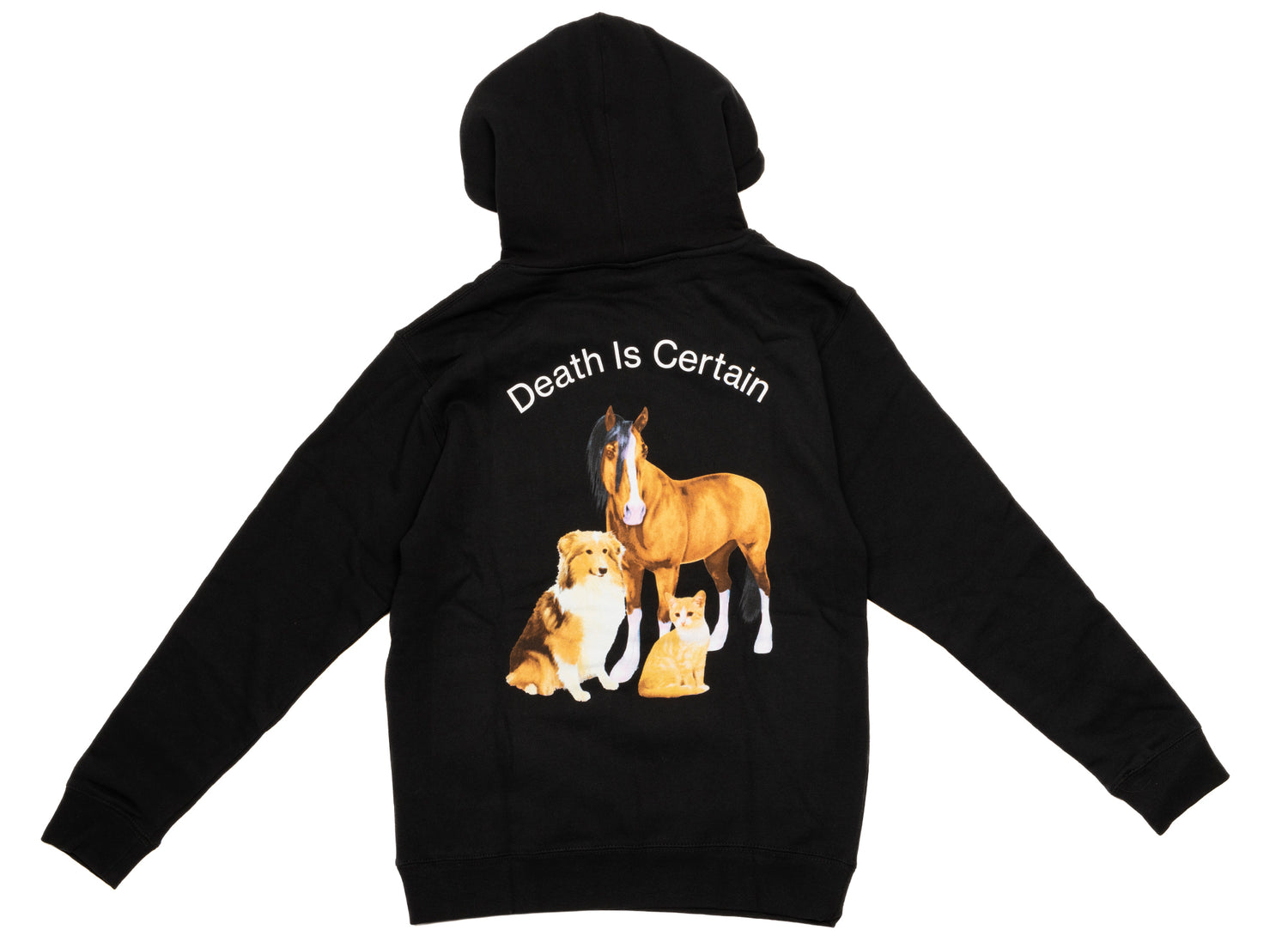 Pleasures Death Hoodie in Black - view 2